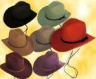 Çeşitli renklerde Şapka